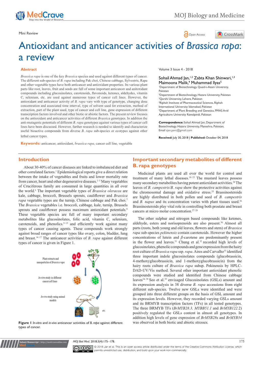 Antioxidant and Anticancer Activities of Brassica Rapa: a Review