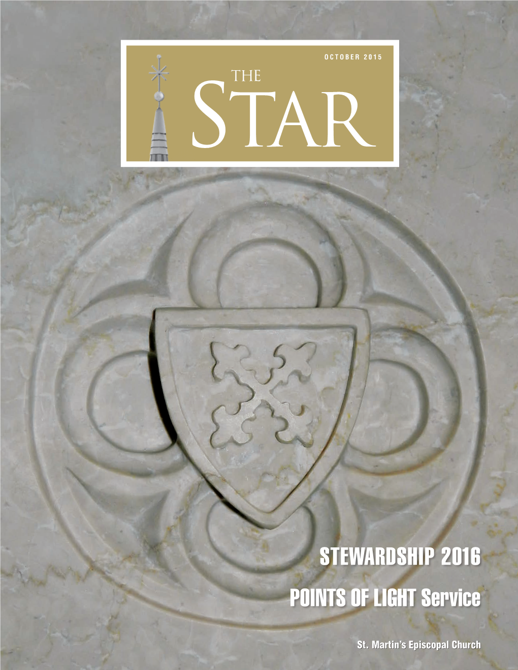 Stewardship 2016 Points of Light Service