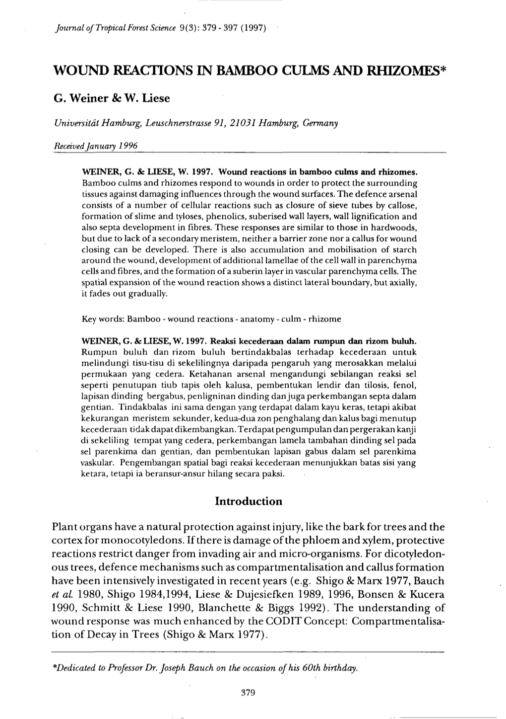 Wound Reactions in Bamboo Culms and Rhizomes*