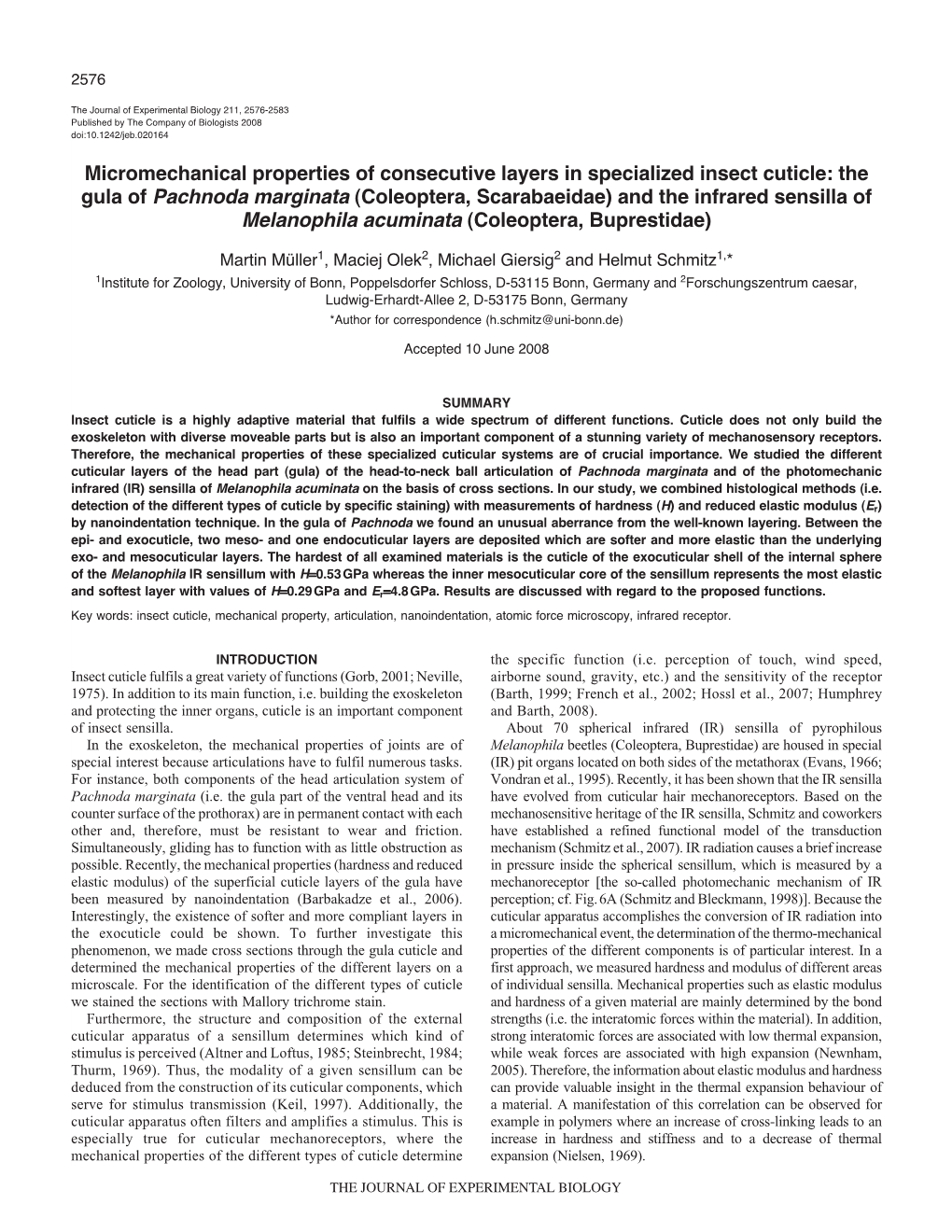 Micromechanical Properties of Consecutive Layers in Specialized