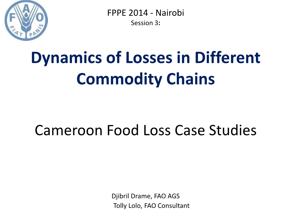 Cameroon Food Loss Case Studies