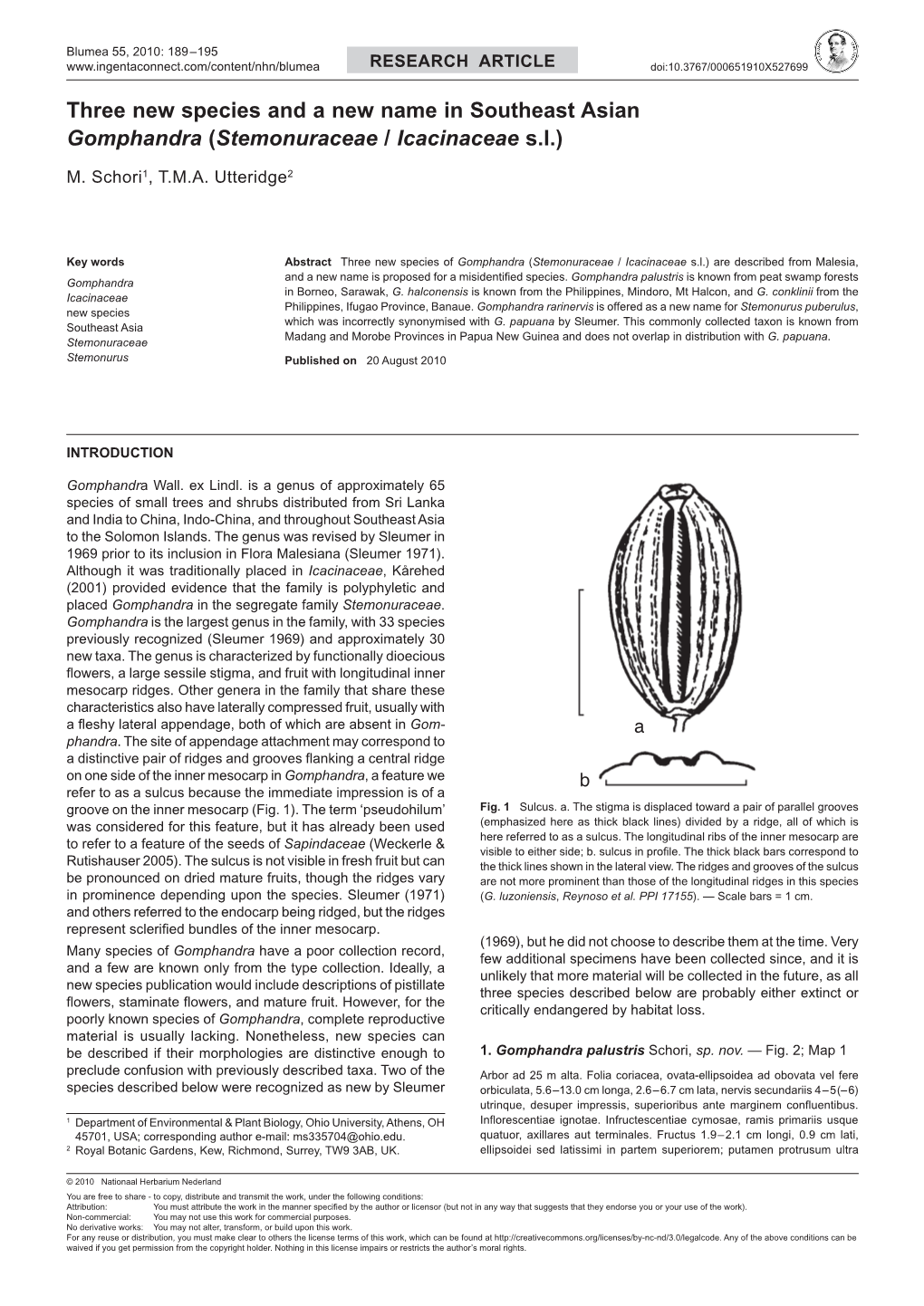 Stemonuraceae / Icacinaceae Sl