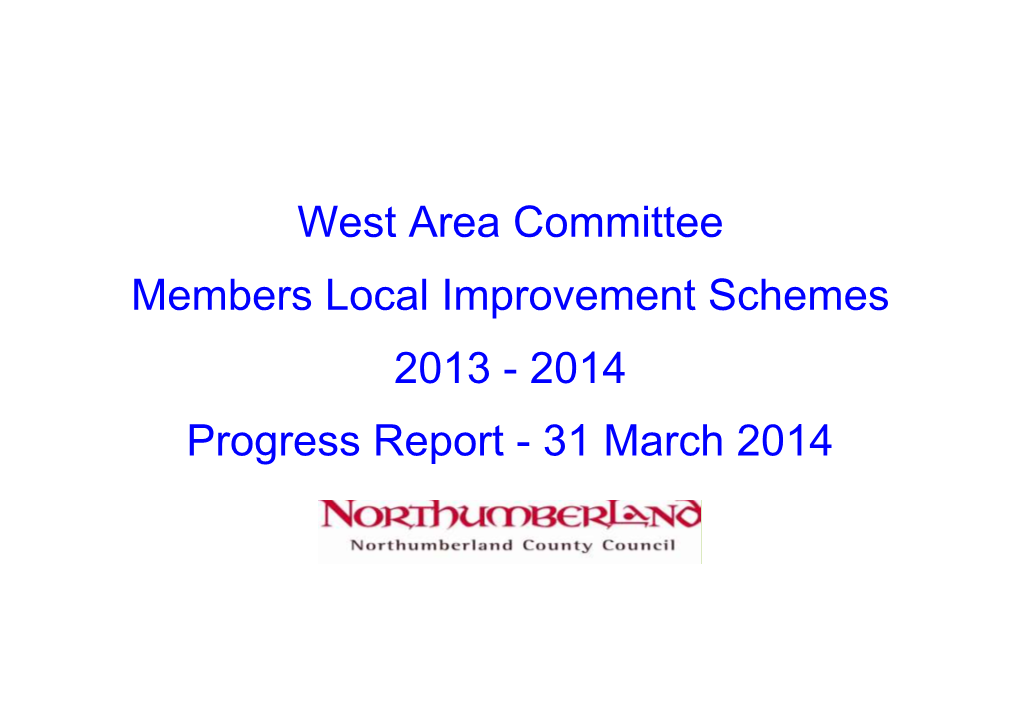 2014 Progress Report