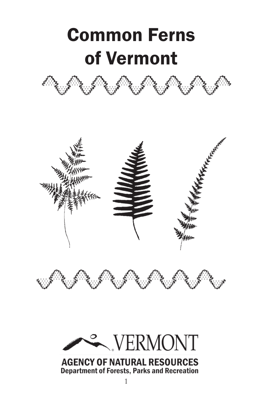 Common Ferns of Vermont