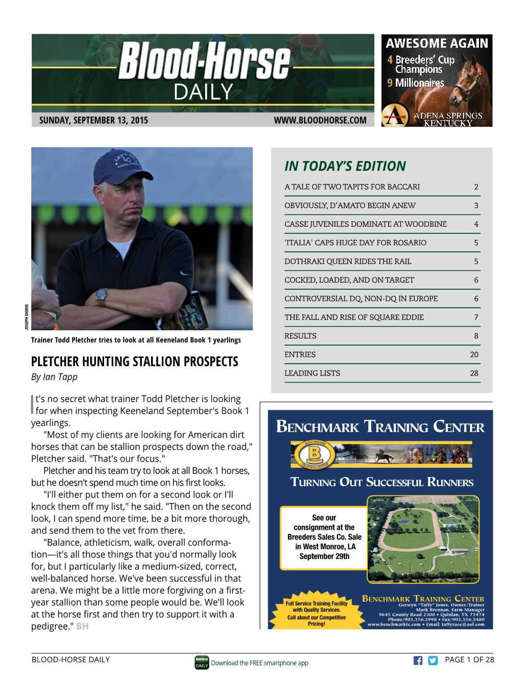 PLETCHER HUNTING STALLION PROSPECTS Benchmark