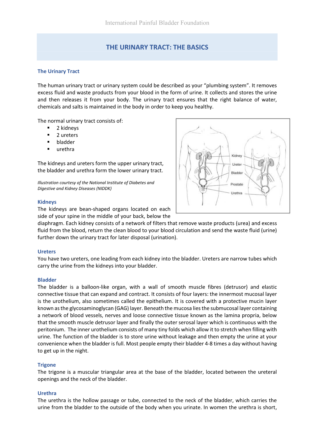 The Urinary Tract: the Basics