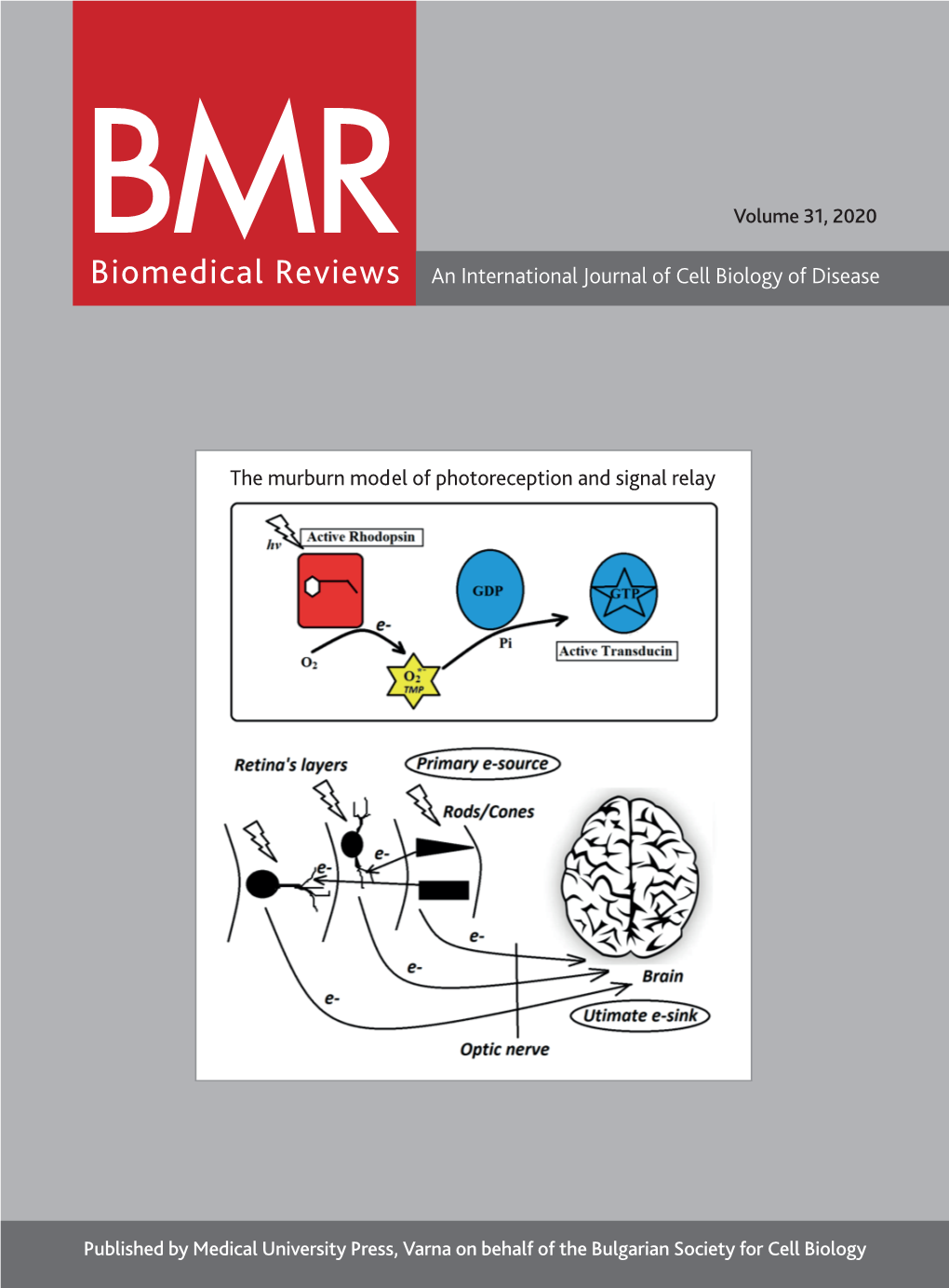 Biomedical Reviews Volume 18, 2007