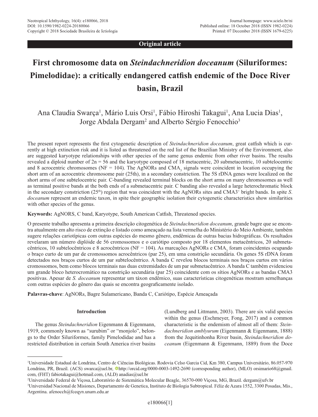 First Chromosome Data on Steindachneridion Doceanum (Siluriformes: Pimelodidae): a Critically Endangered Catfish Endemic of the Doce River Basin, Brazil