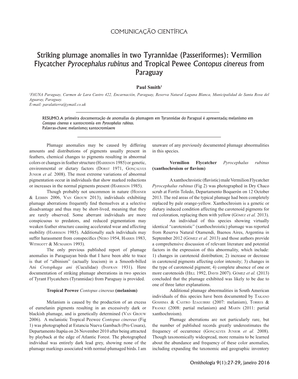 Striking Plumage Anomalies in Two Paraguayan Tyrannidae