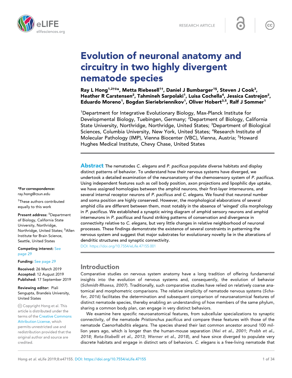 Evolution of Neuronal Anatomy and Circuitry in Two Highly Divergent