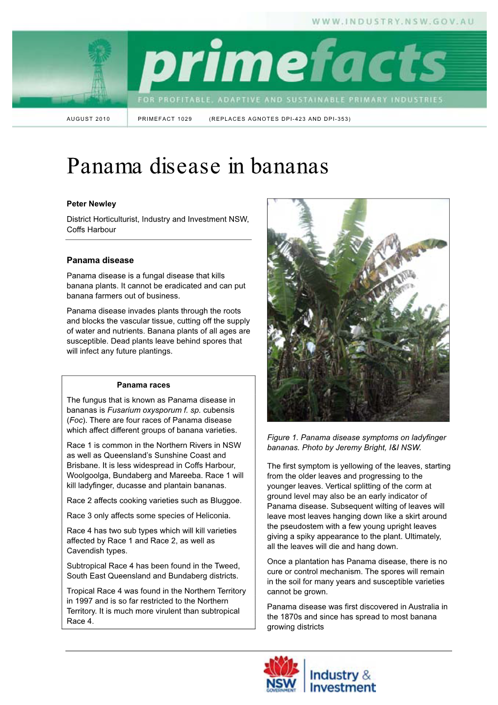 Panama Disease in Bananas