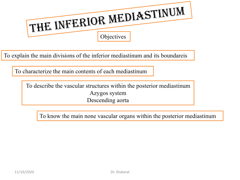 Posterior Mediastinum Azygos System Descending Aorta