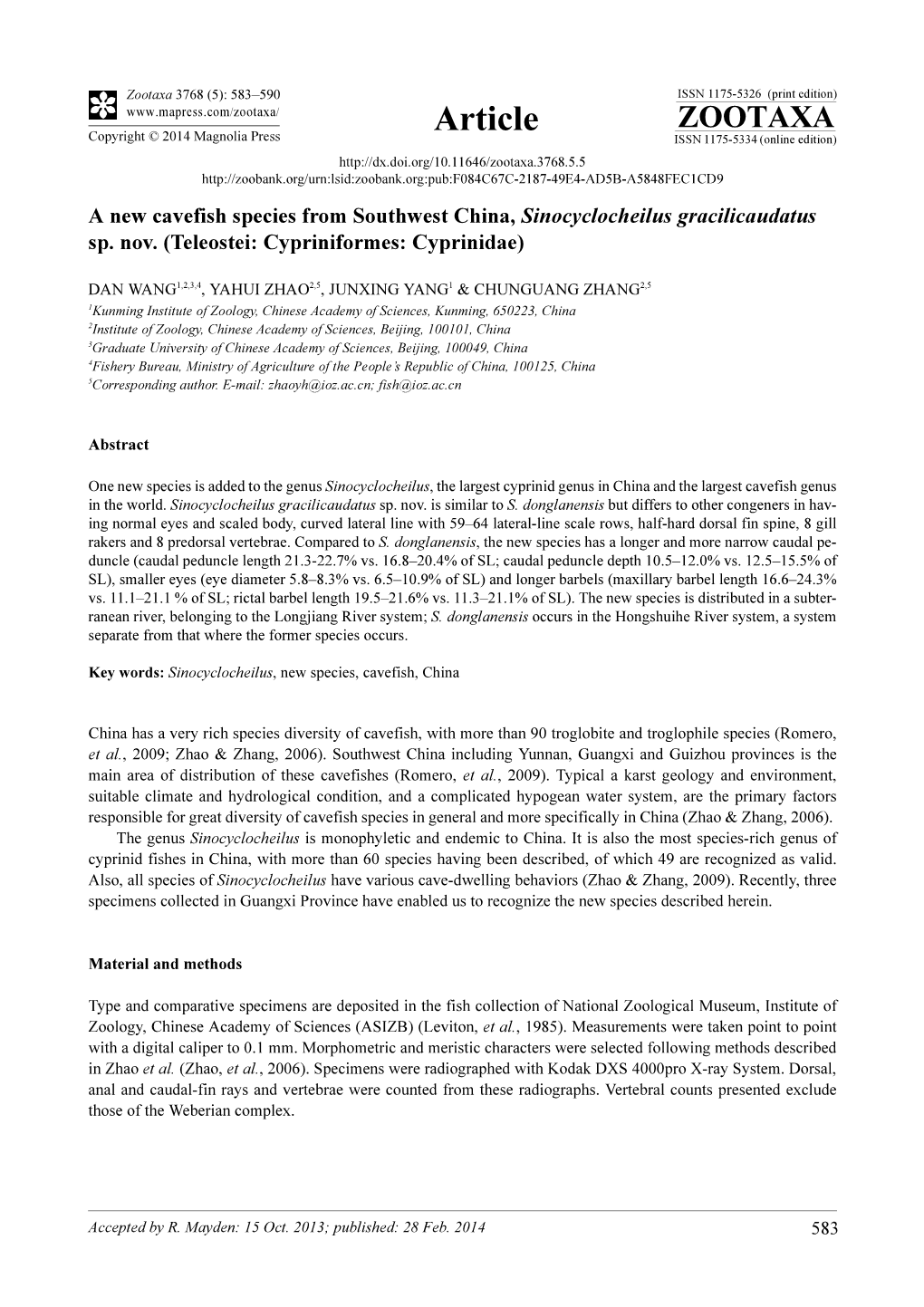 A New Cavefish Species from Southwest China, Sinocyclocheilus Gracilicaudatus Sp