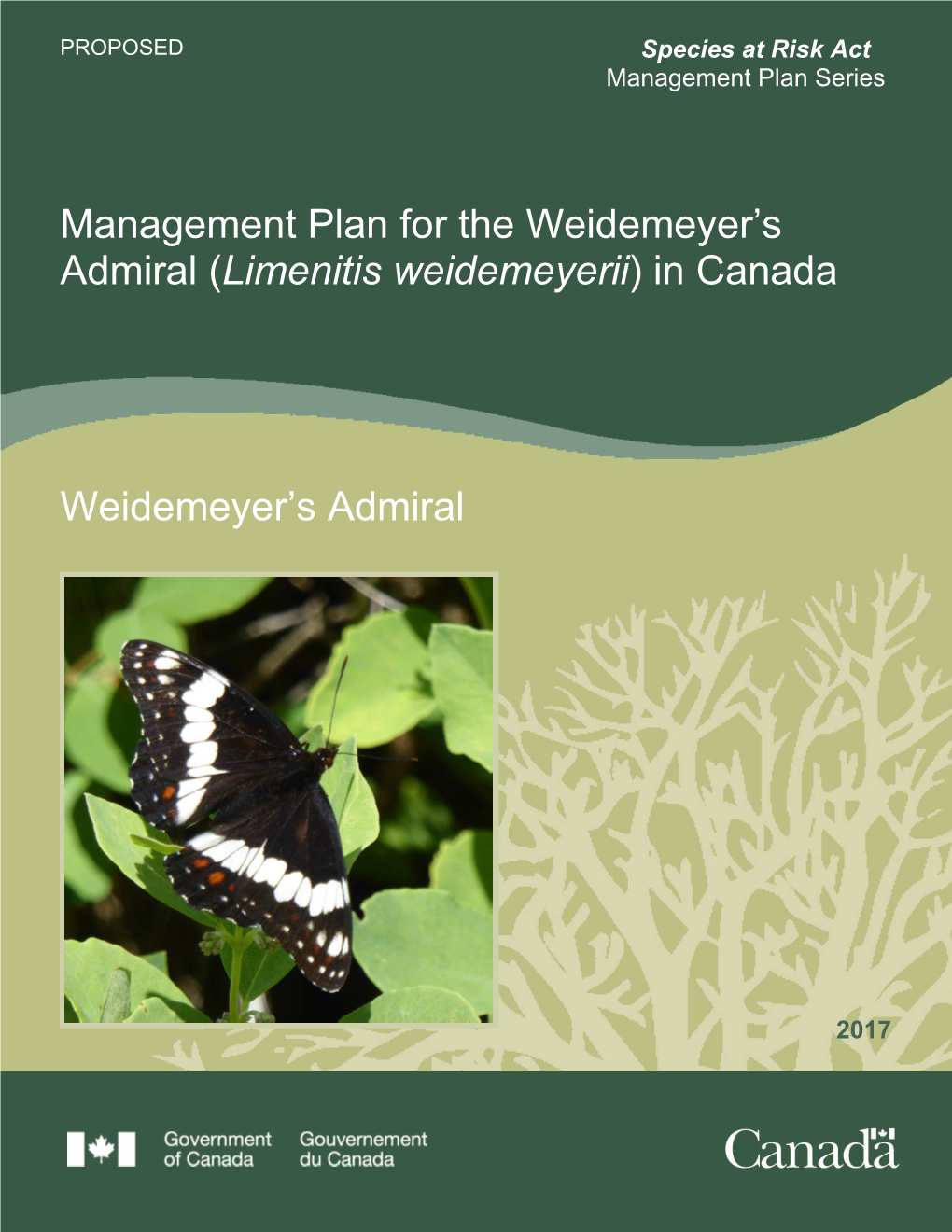 Weidemeyer's Admiral (Limenitis Weidemeyerii) in Alberta Was Completed (ASRD and ACA 2005)