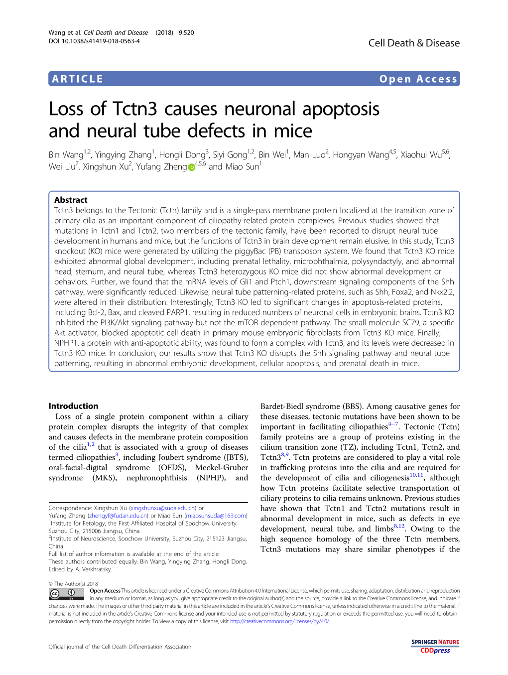 Loss of Tctn3 Causes Neuronal Apoptosis and Neural Tube Defects