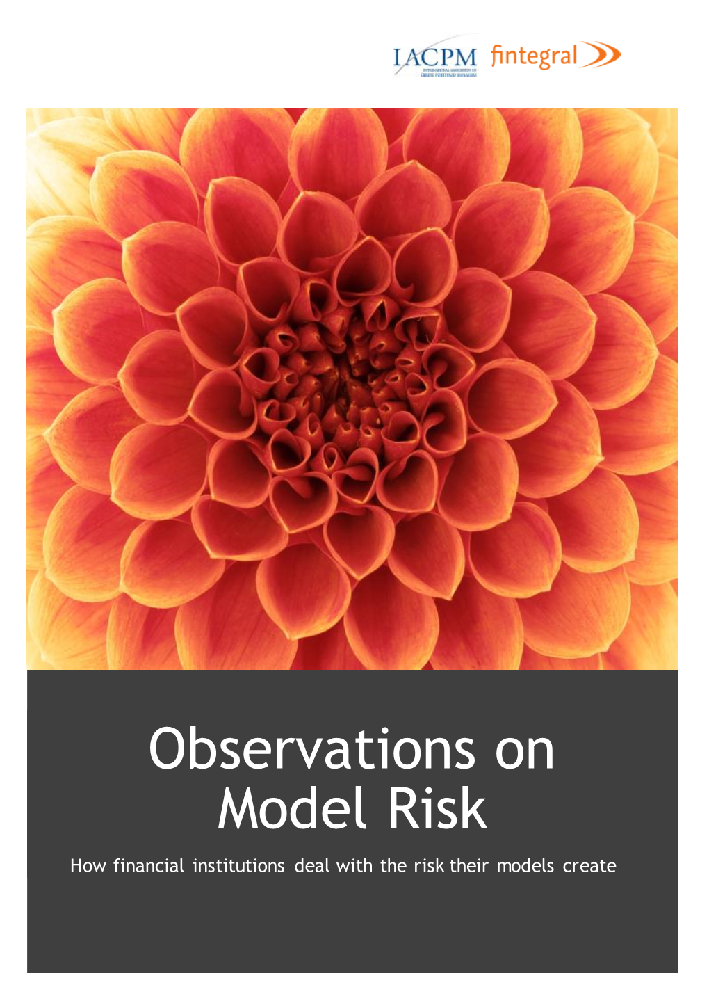 Model Risk How Financial Institutions Deal with the Risk Their Models Create