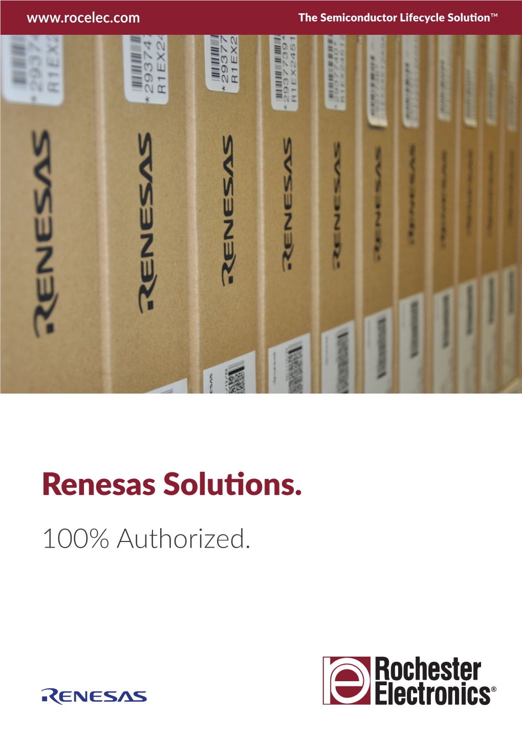 Renesas Family Brochure.Indd