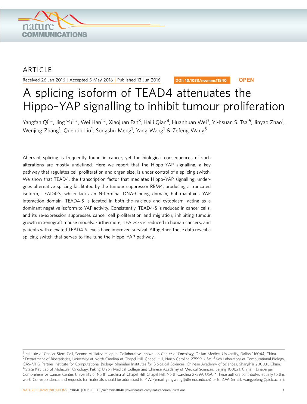 YAP Signalling to Inhibit Tumour Proliferation