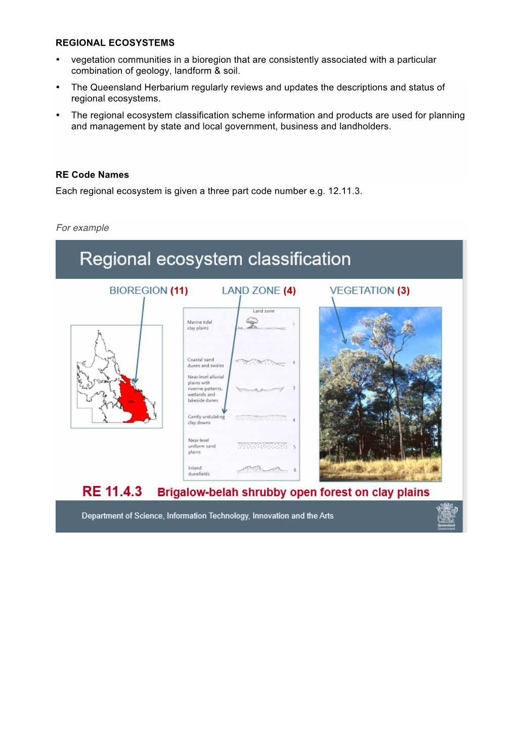 Regional Ecosystem Classification Scheme Information and Products Are Used for Planning and Management by State and Local Government, Business and Landholders