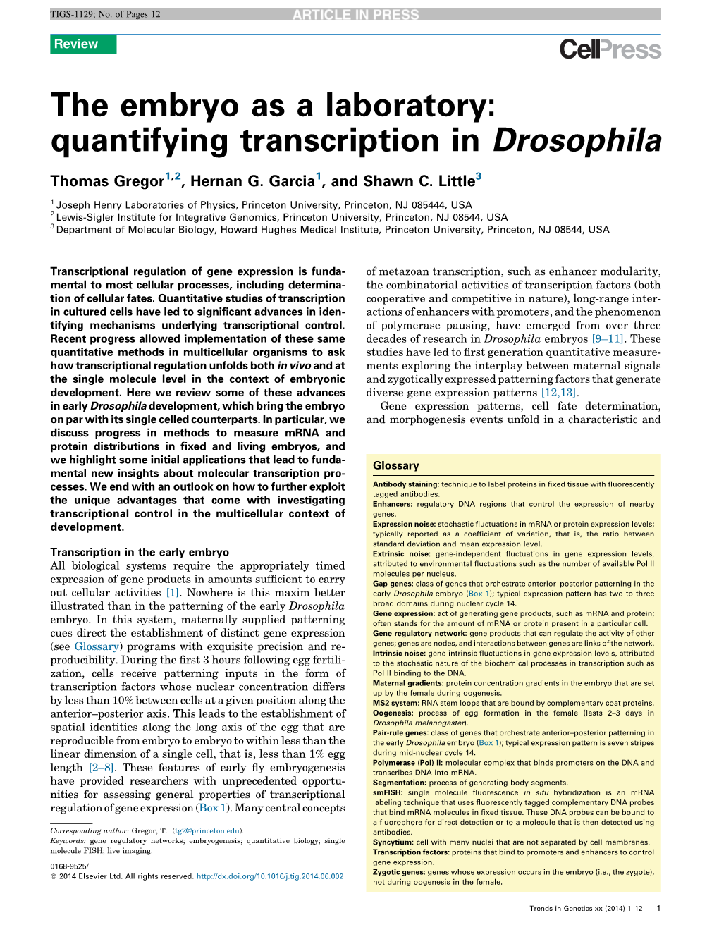 The Embryo As a Laboratory: Quantifying Transcription in Drosophila