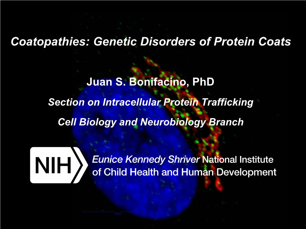 Coatopathies: Genetic Disorders of Protein Coats