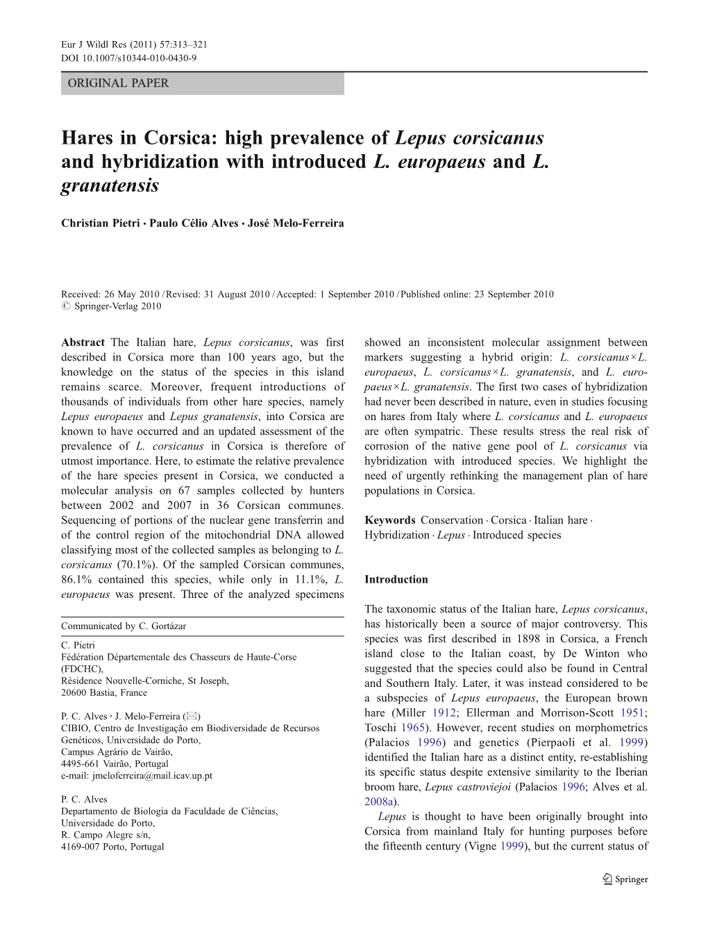 High Prevalence of Lepus Corsicanus and Hybridization with Introduced L