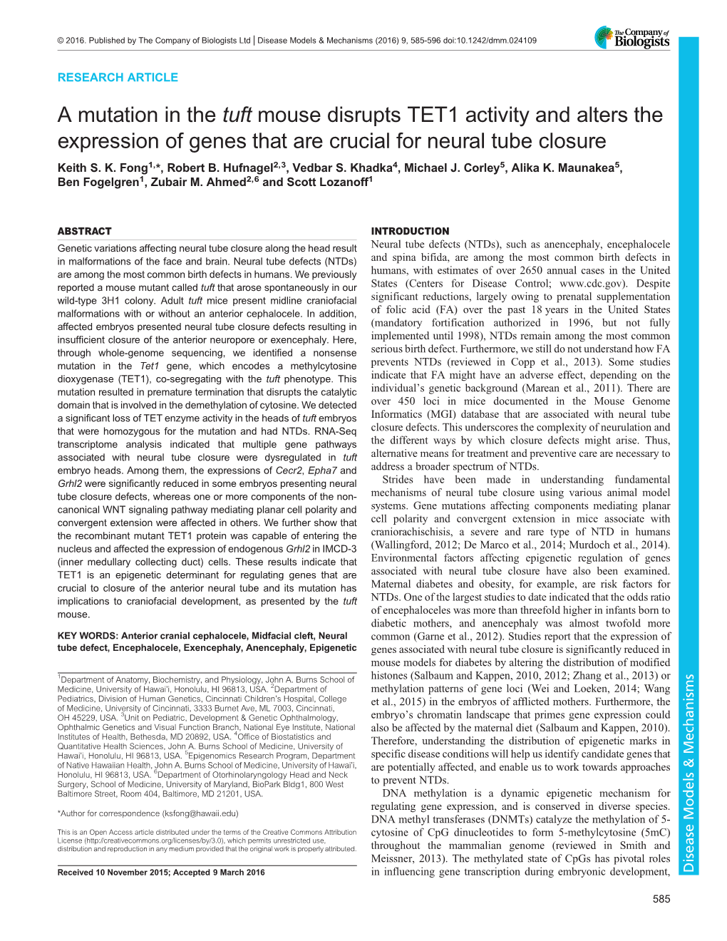 A Mutation in the Tuft Mouse Disrupts TET1 Activity and Alters the Expression of Genes That Are Crucial for Neural Tube Closure Keith S