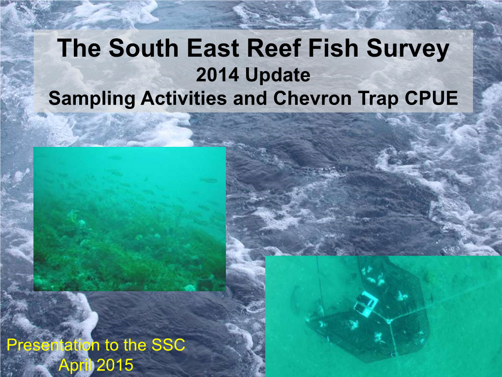 The South East Reef Fish Survey 2014 Update Sampling Activities and Chevron Trap CPUE