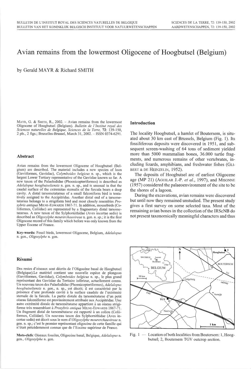 Avian Remains from the Lowermost Oligocene of Hoogbutsel (Belgium) by Gerald MAYR & Richard SMITH