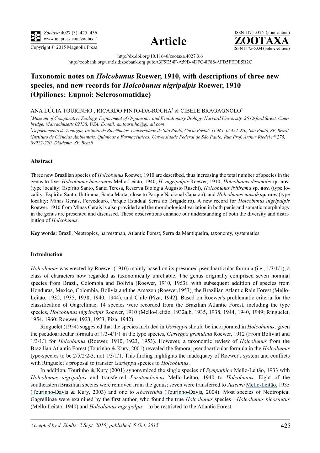 Taxonomic Notes on Holcobunus Roewer, 1910, with Descriptions Of