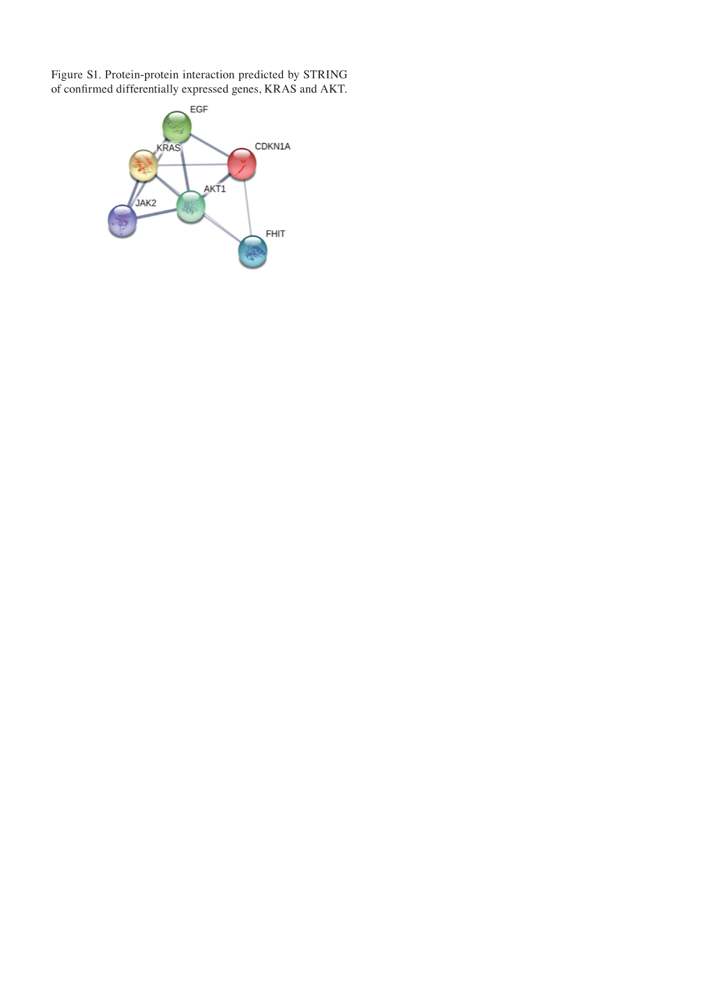 Figure S1. Protein‑Protein Interaction Predicted by STRING of Confirmed Differentially Expressed Genes, KRAS and AKT