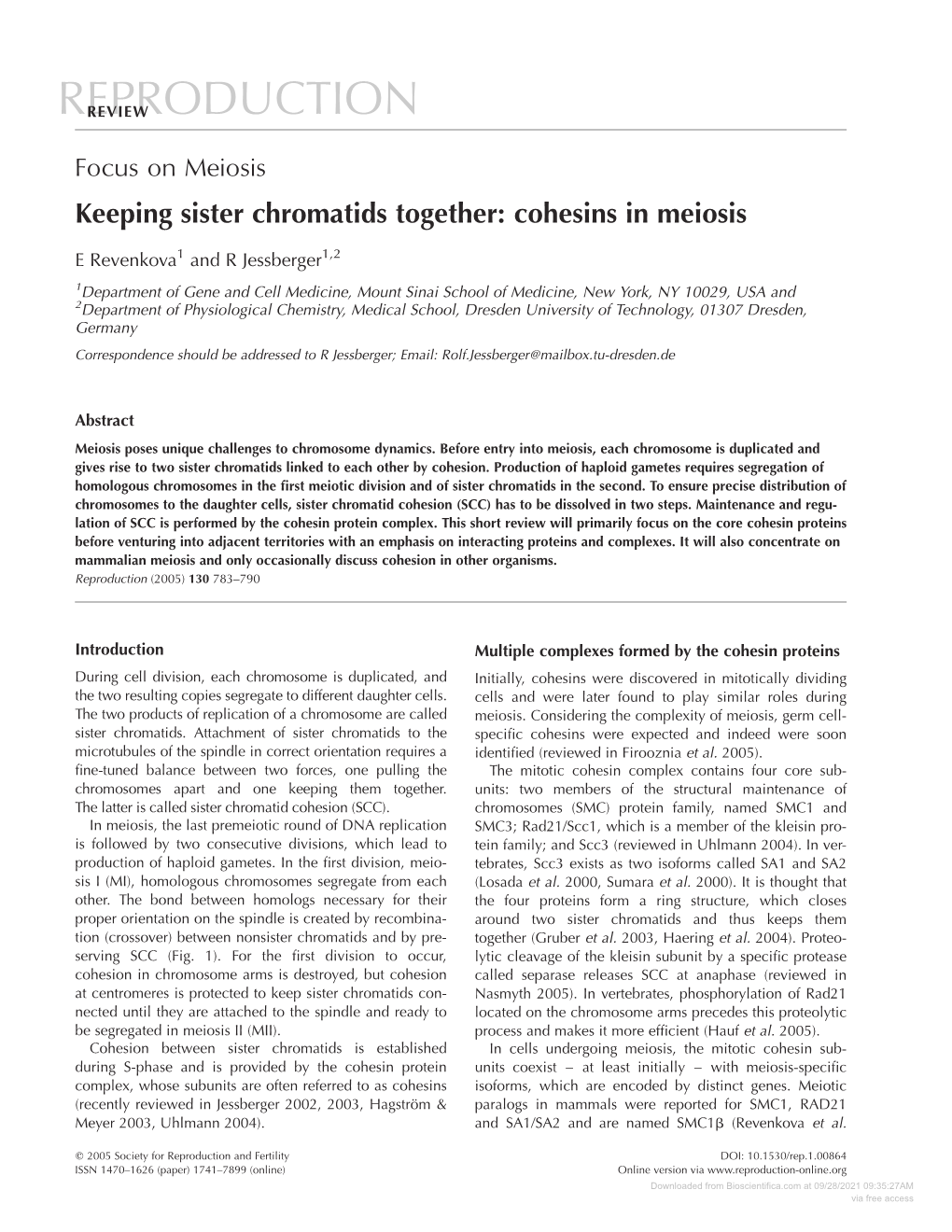 Keeping Sister Chromatids Together: Cohesins in Meiosis