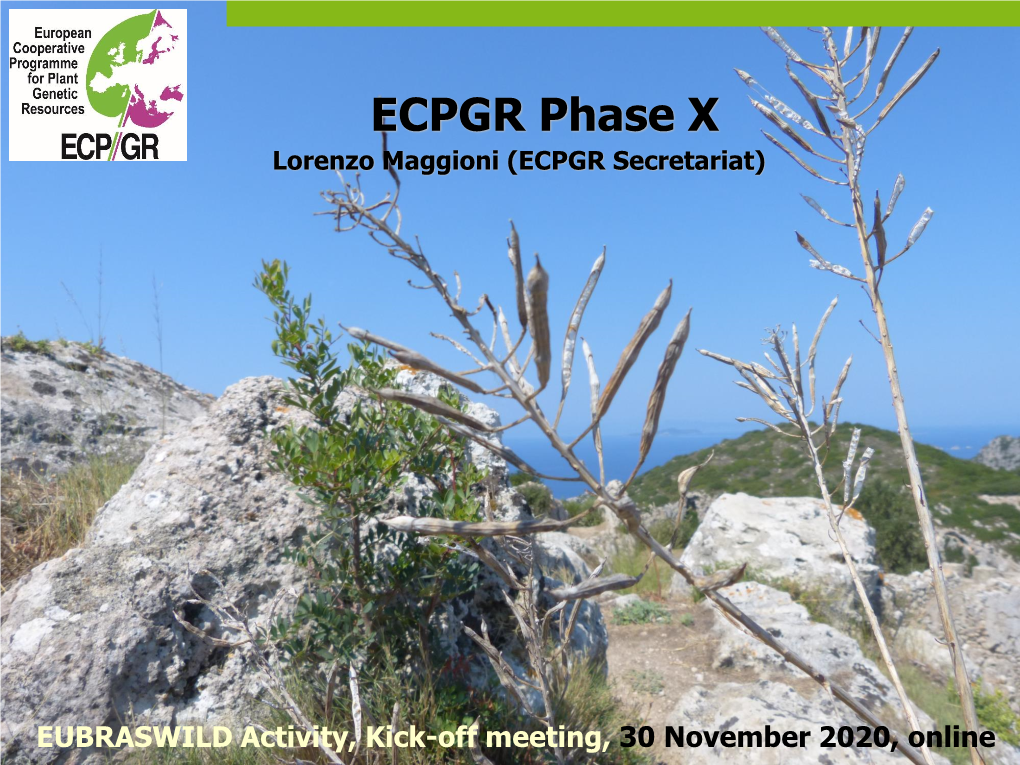 ECPGR Phase X Lorenzo Maggioni (ECPGR Secretariat)