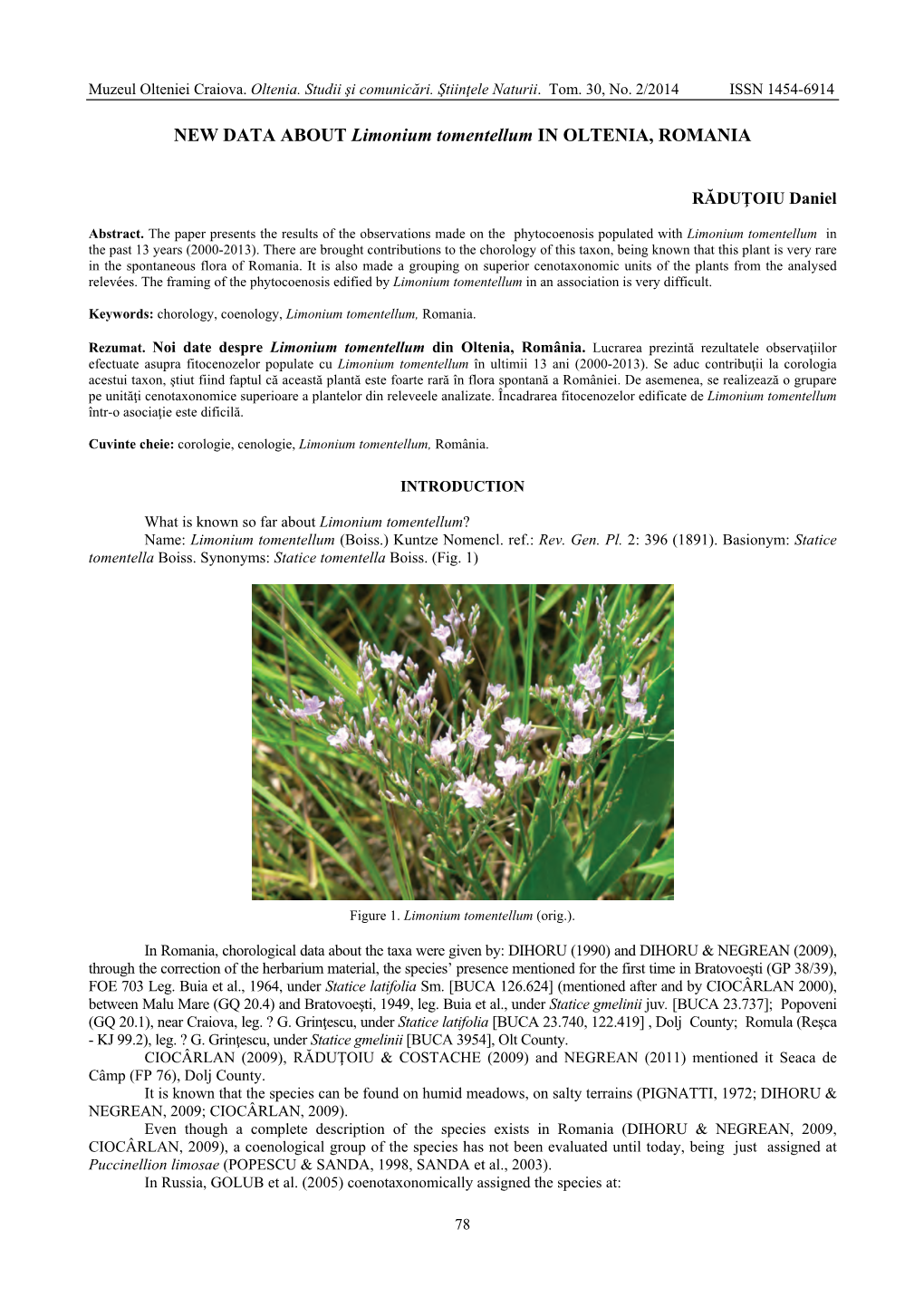 NEW DATA ABOUT Limonium Tomentellum in OLTENIA, ROMANIA