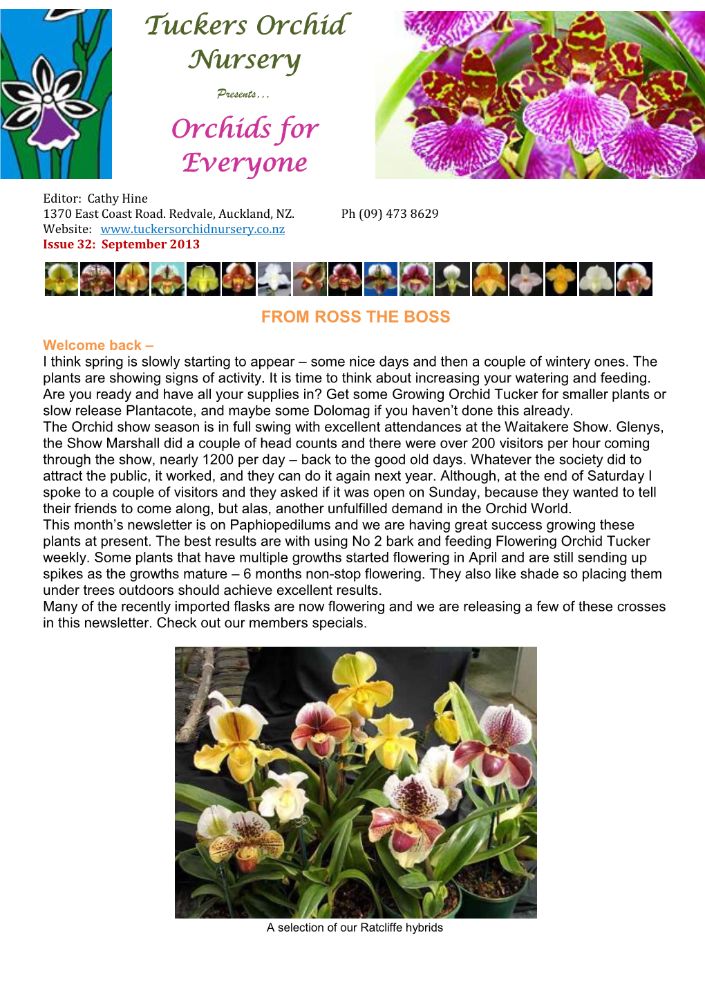 Orchids for Everyone Sept 2013 Paphs.Pdf
