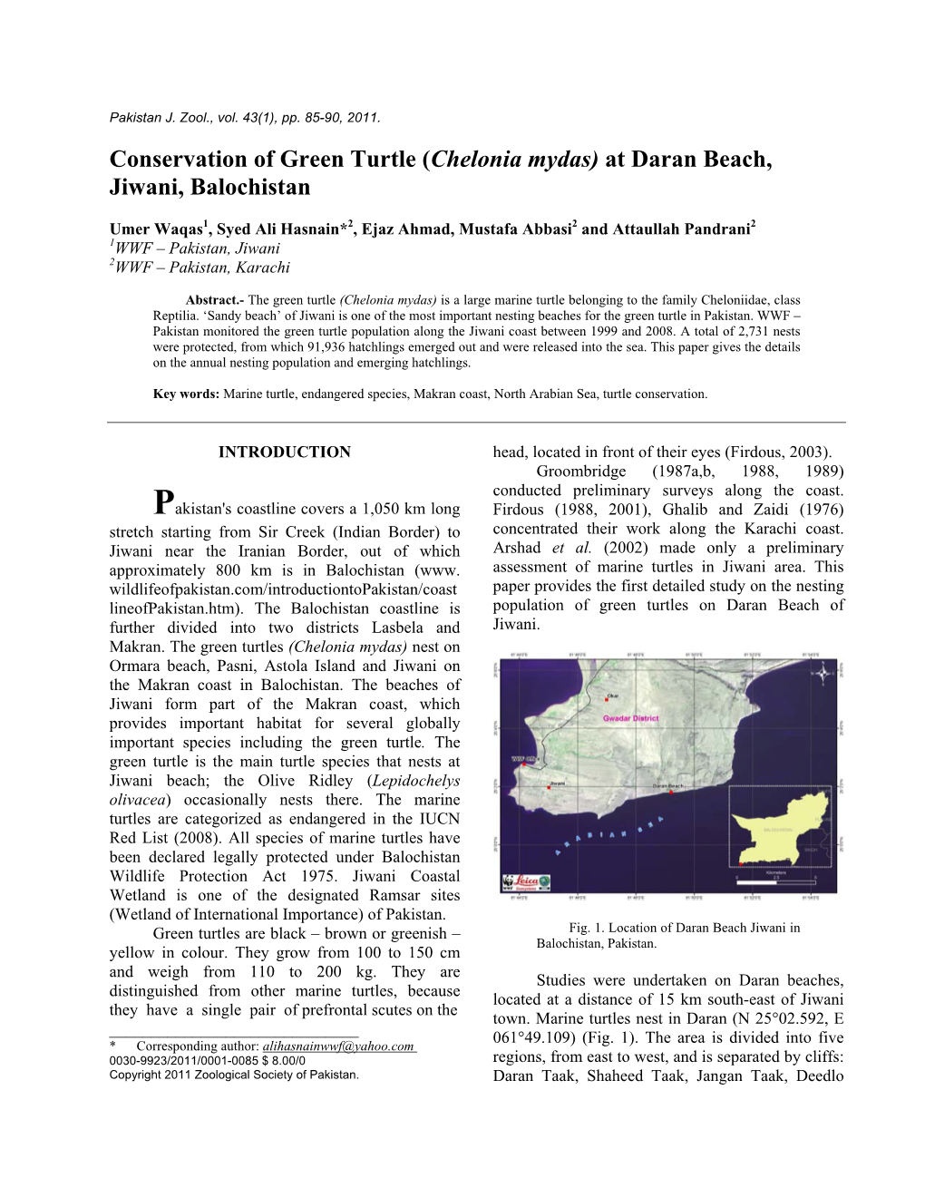 Conservation of Green Turtle (Chelonia Mydas) at Daran Beach, Jiwani, Balochistan