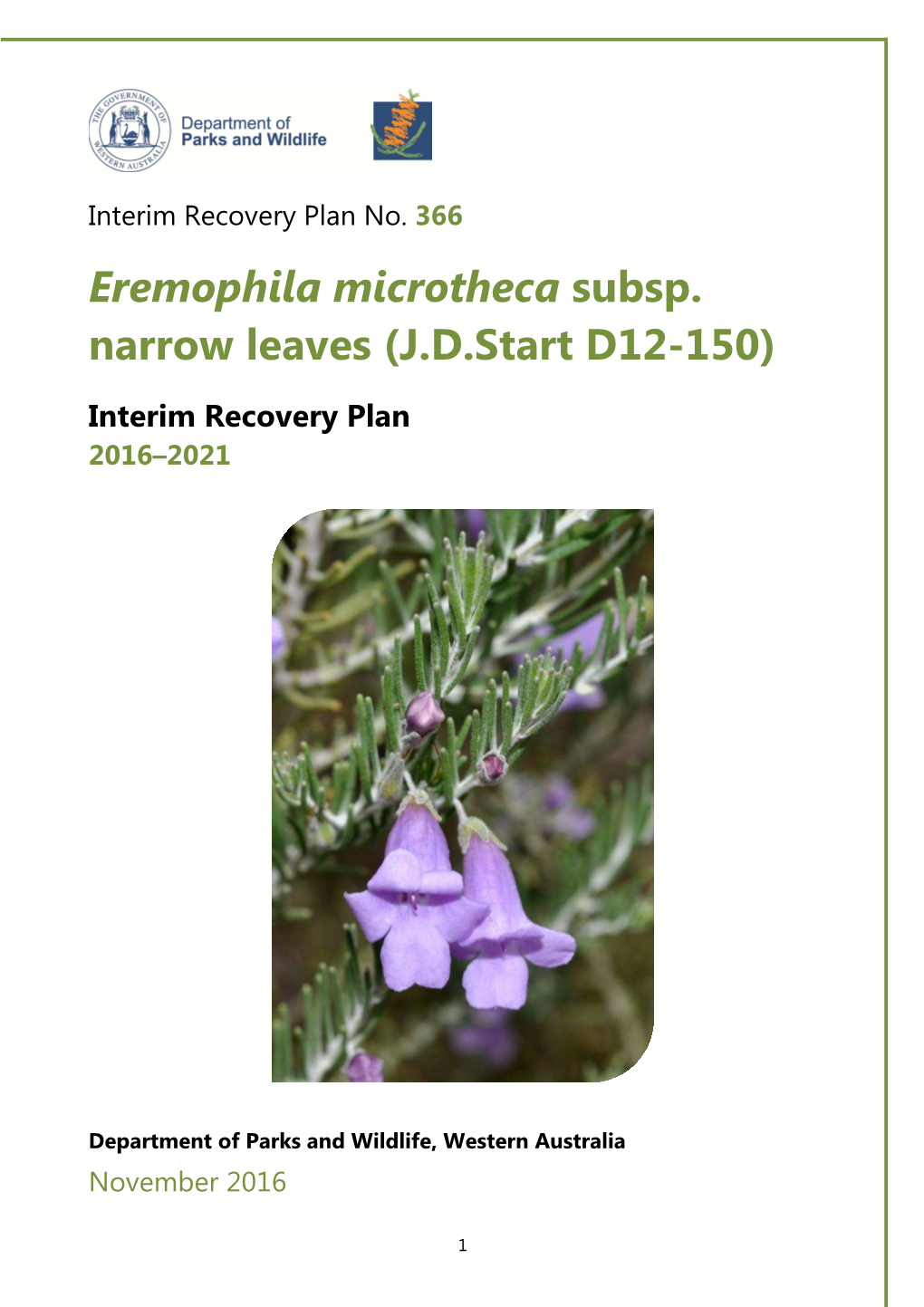 Eremophila Microtheca Subsp. Narrow Leaves IRP366 2016 2021 Web