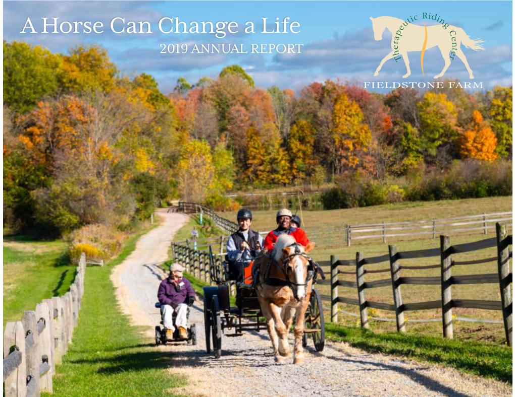 2019 ANNUAL REPORT Horses Change Us