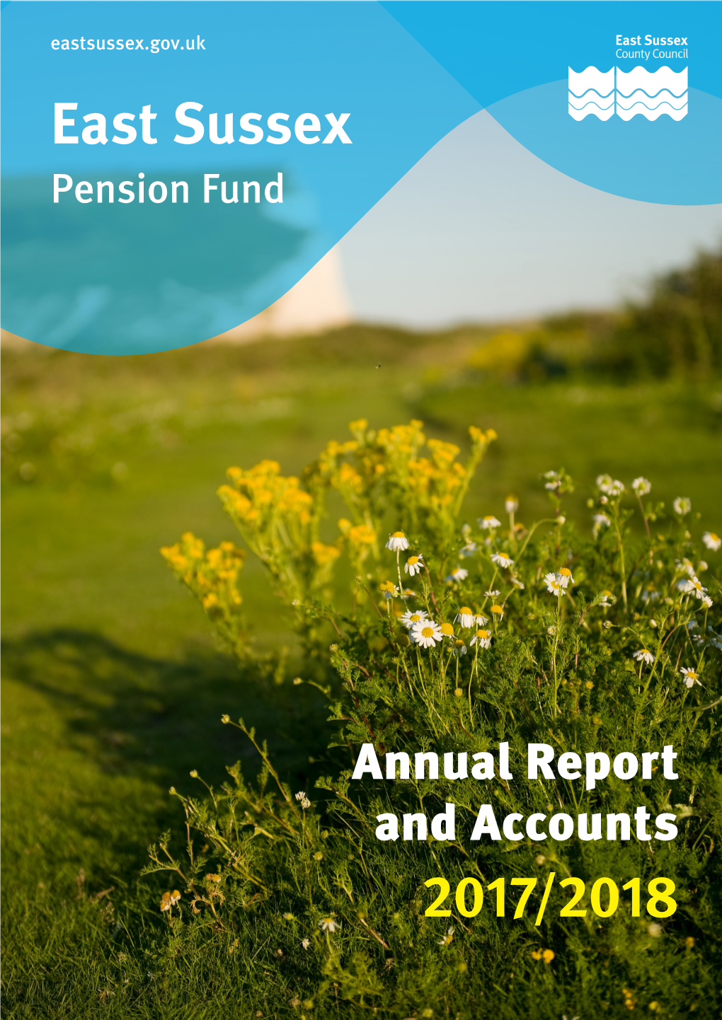 Annual Report and Accounts 2017-18.Pdf