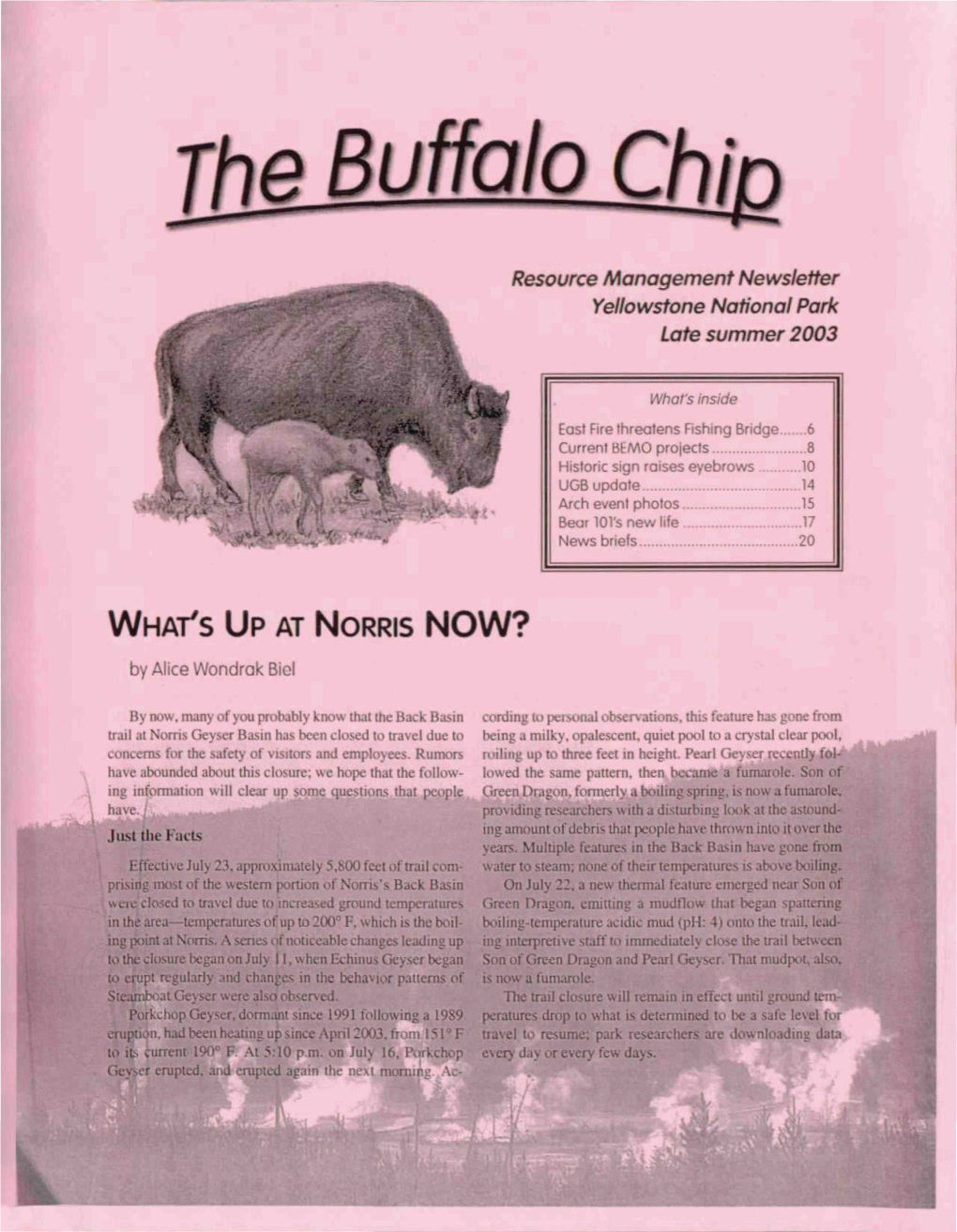 The Buffalo Chip