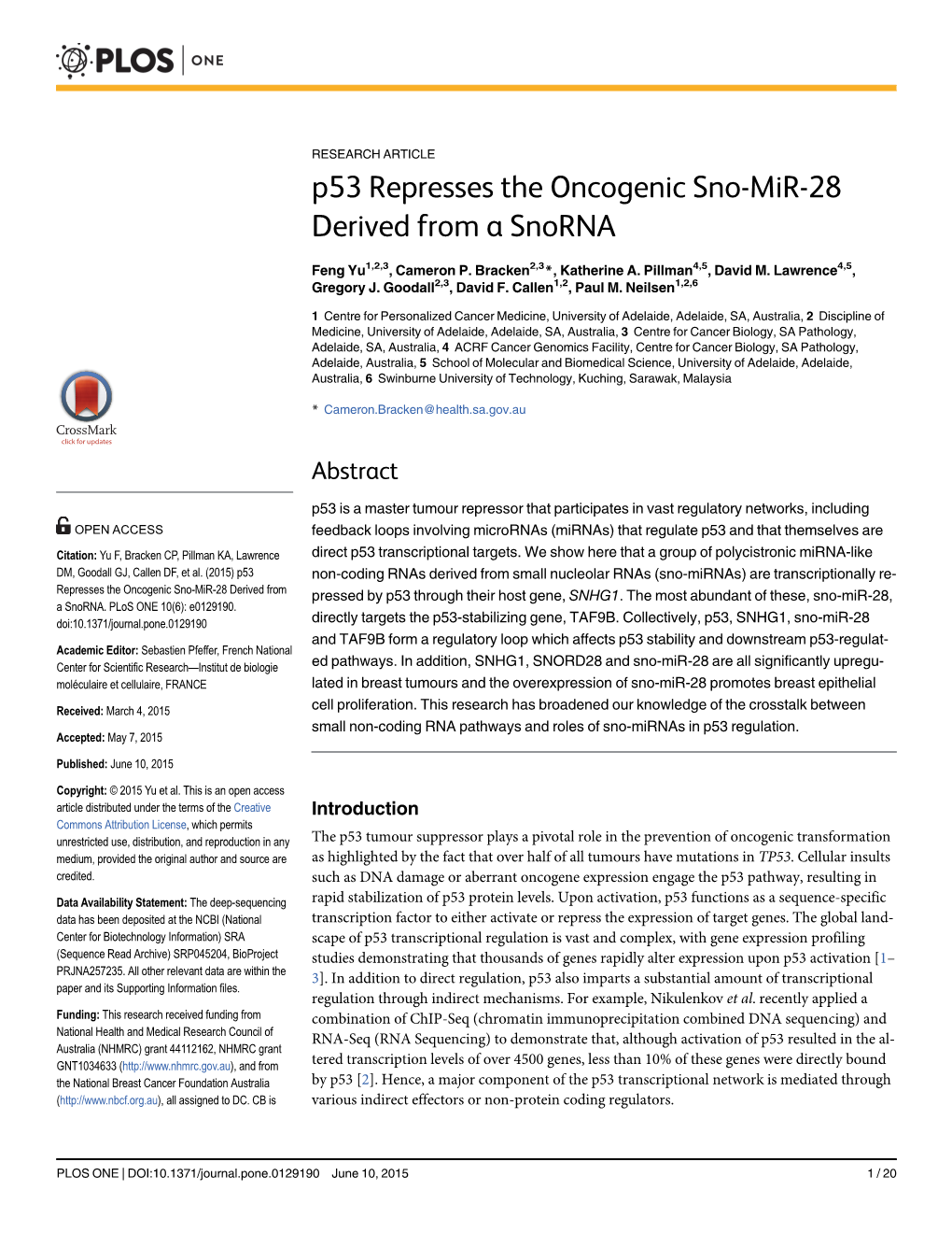 P53 Represses the Oncogenic Sno-Mir-28 Derived from a Snorna