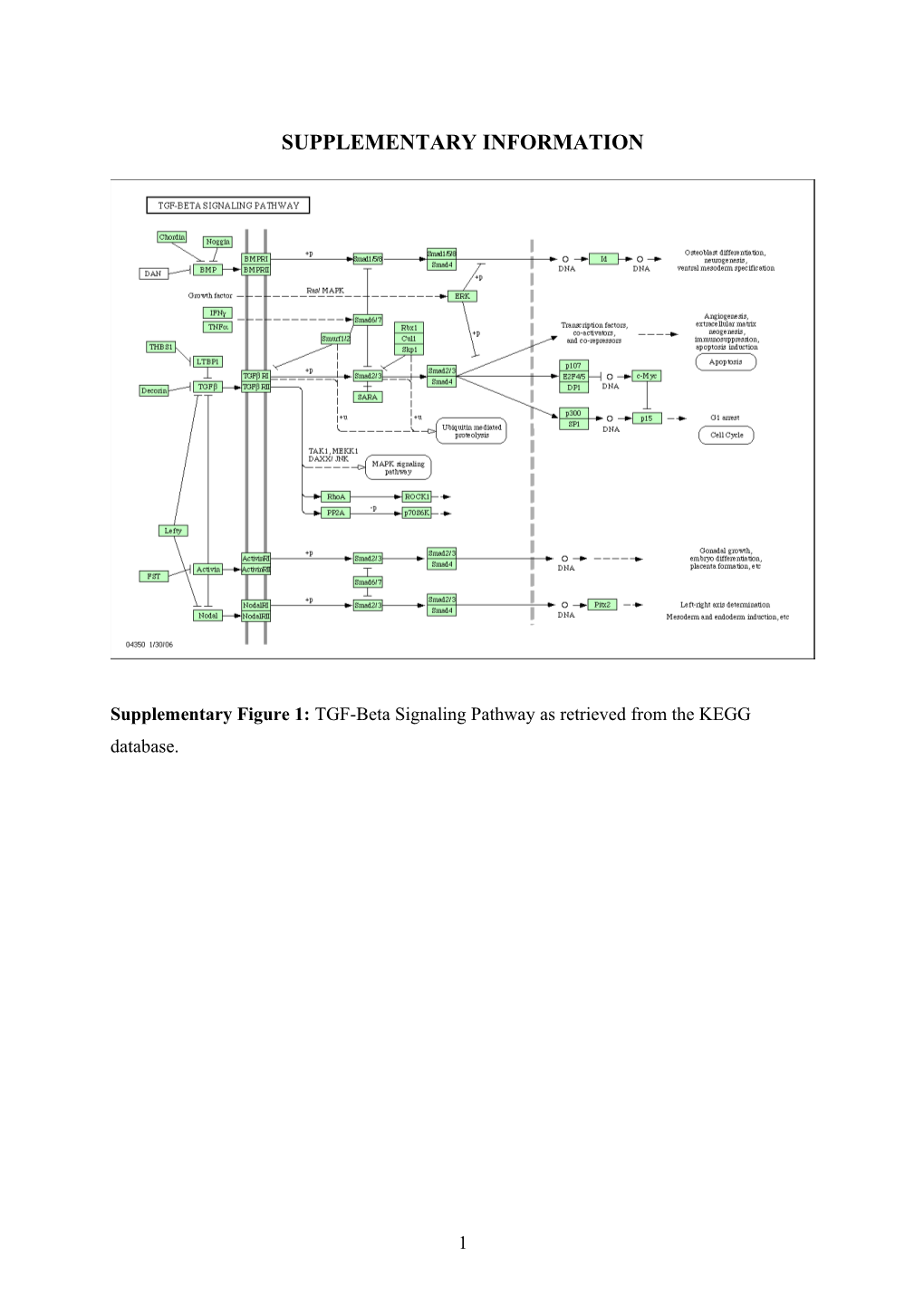 Supplementary Information s80