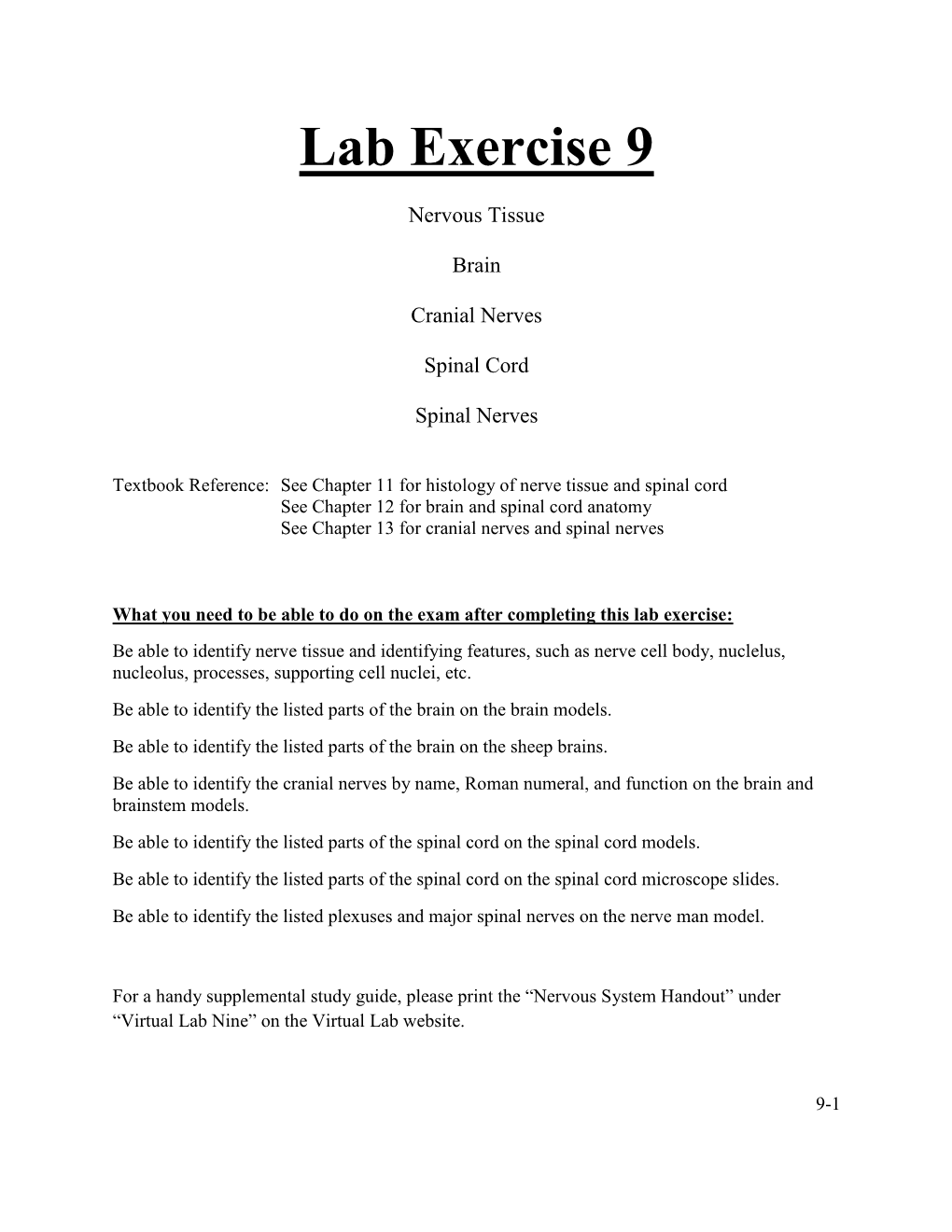Lab Exercise 9