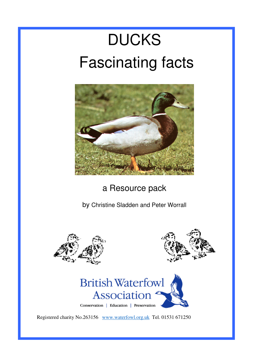 DUCKS Fascinating Facts