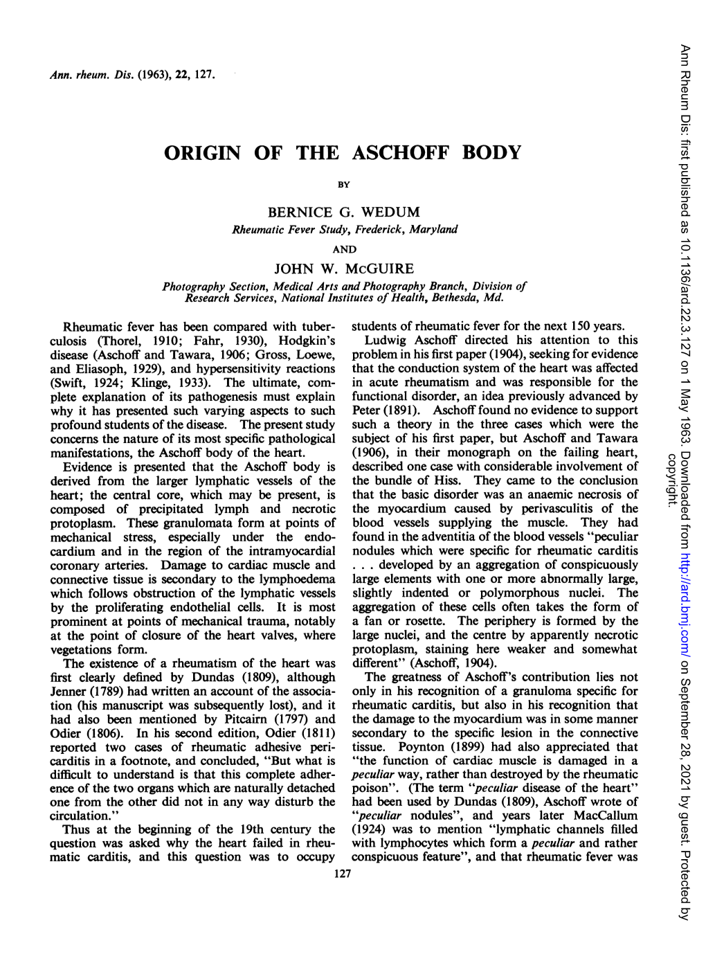 Origin of the Aschoff Body