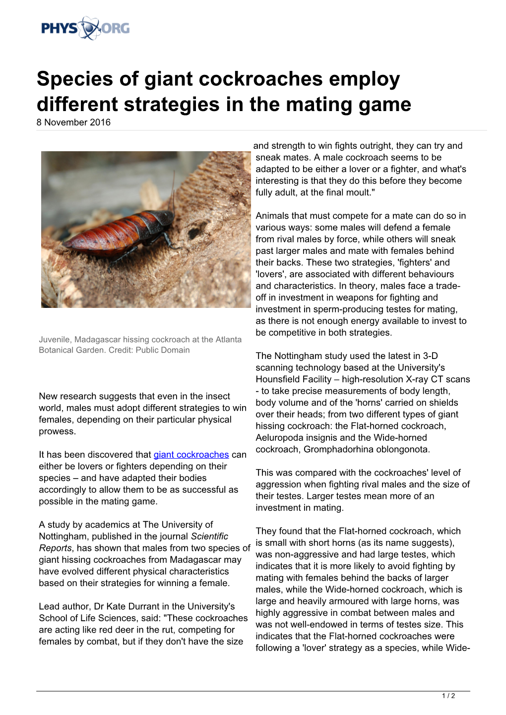 Species of Giant Cockroaches Employ Different Strategies in the Mating Game 8 November 2016
