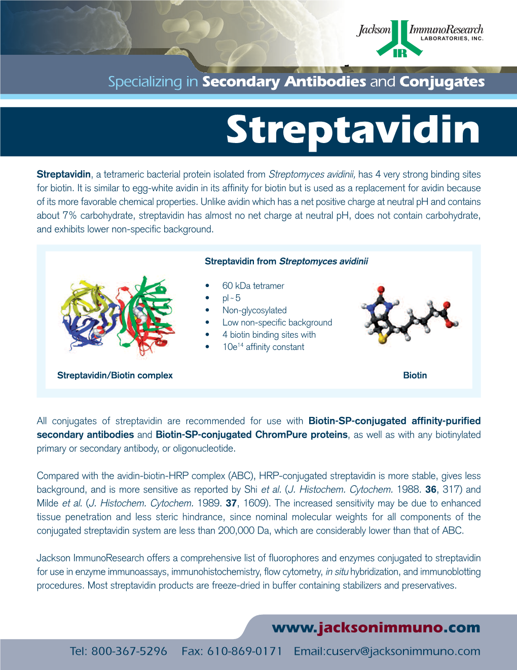 Streptavidin