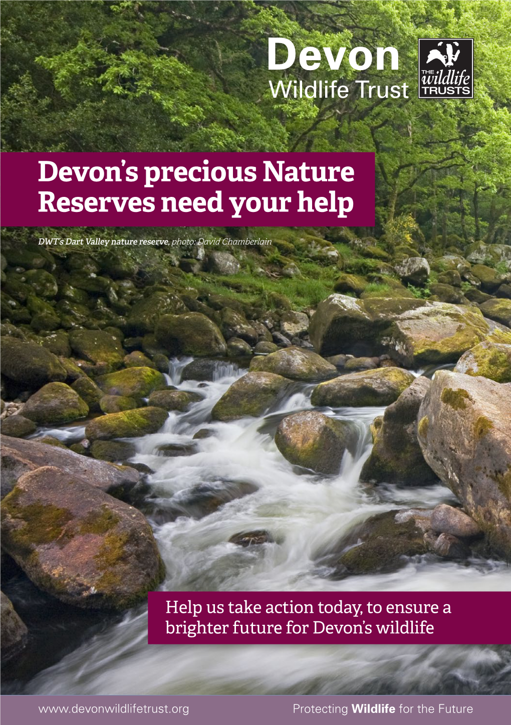 Devon's Precious Nature Reserves Need Your Help