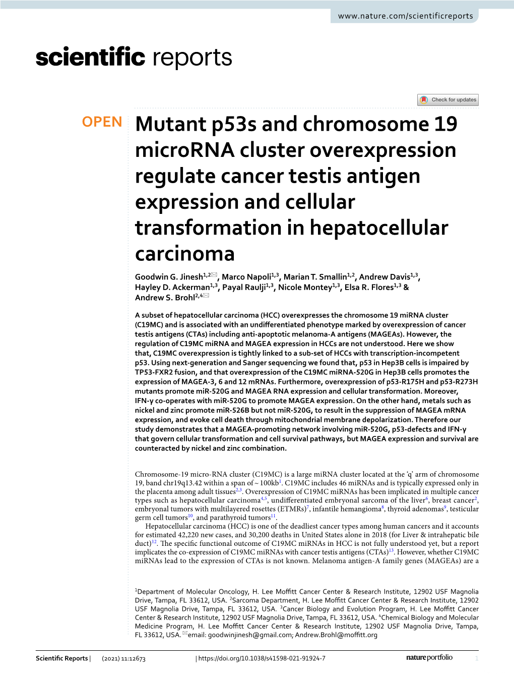 Mutant P53s and Chromosome 19 Microrna Cluster Overexpression