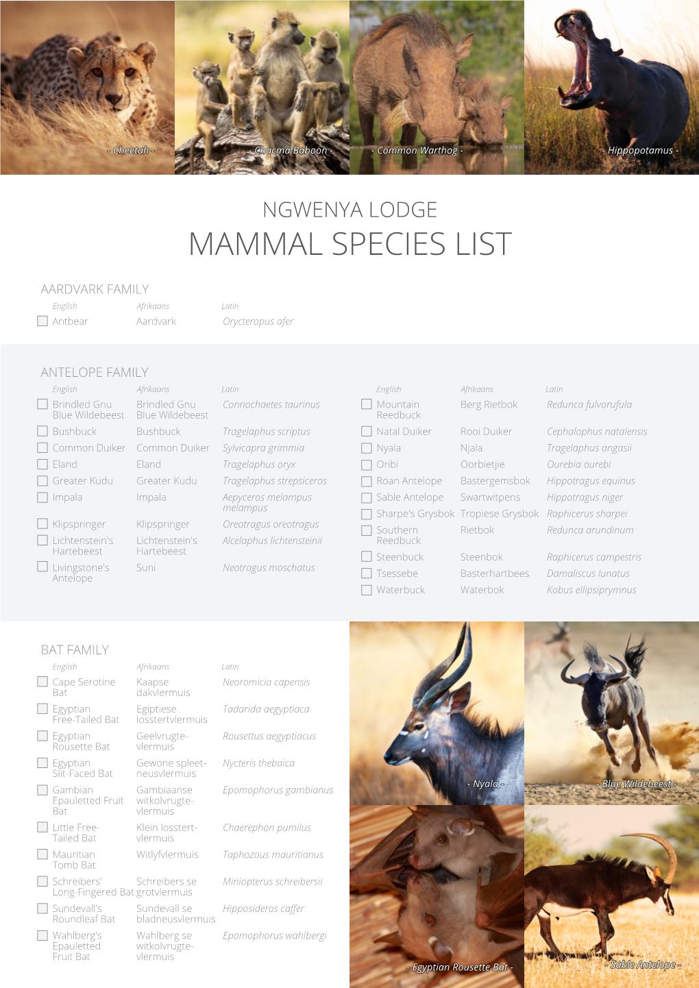 Mammal Species List